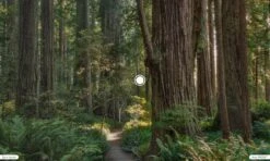 Oakley Jawbreaker / Prizm Low Light / Black / Ref. OO9290-5431 -Oakley 13010895e98424e2e0b75.54794225