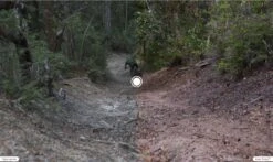 Oakley Sutro S Sunglasses Matte Black / Prizm Trail Torch / Ref. OO9462-0328 -Oakley 15298755f47700987fb54.02029838