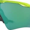 Oakley Radar Ev Xs Path Mat Uranium / Prizm Jade / Ref. OO9001-1731 2 Oakley Radar Ev Xs Path Mat Uranium / Prizm Jade / Ref. OO9001-1731 -Oakley 15299055efcaae2e898e1.56987595